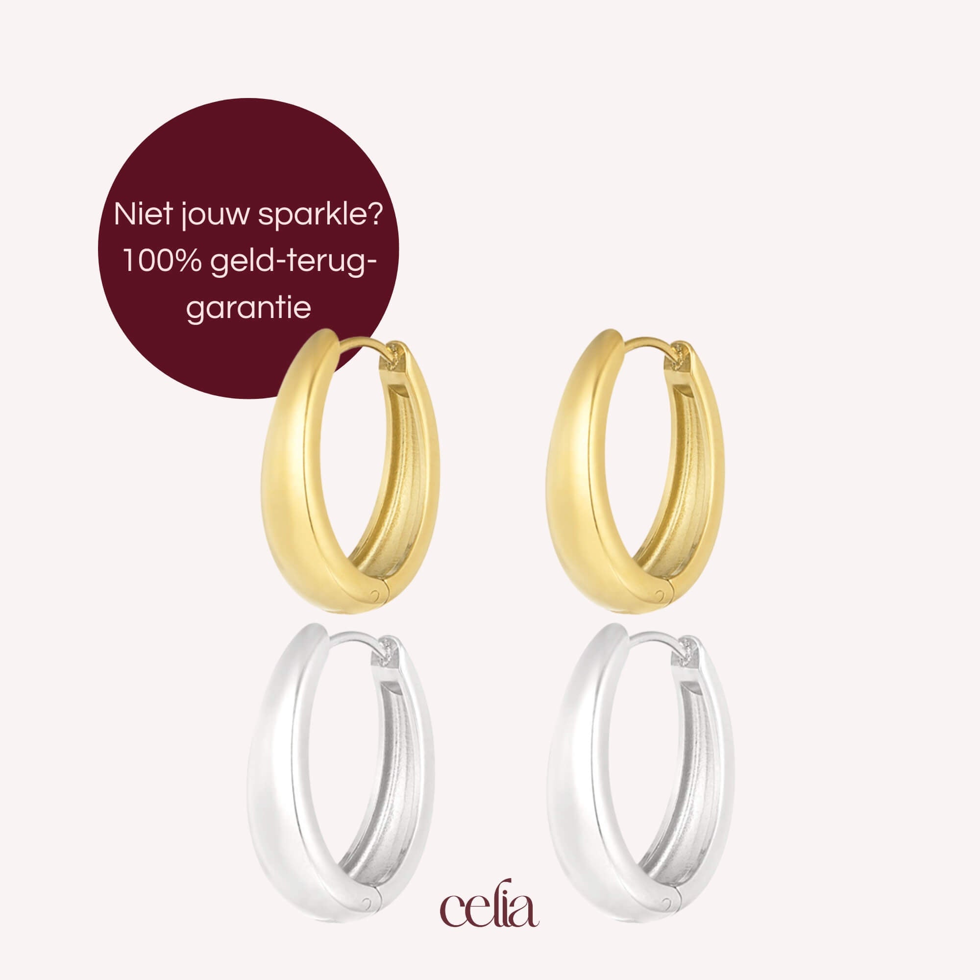 Sleek & Chic Oorbellen