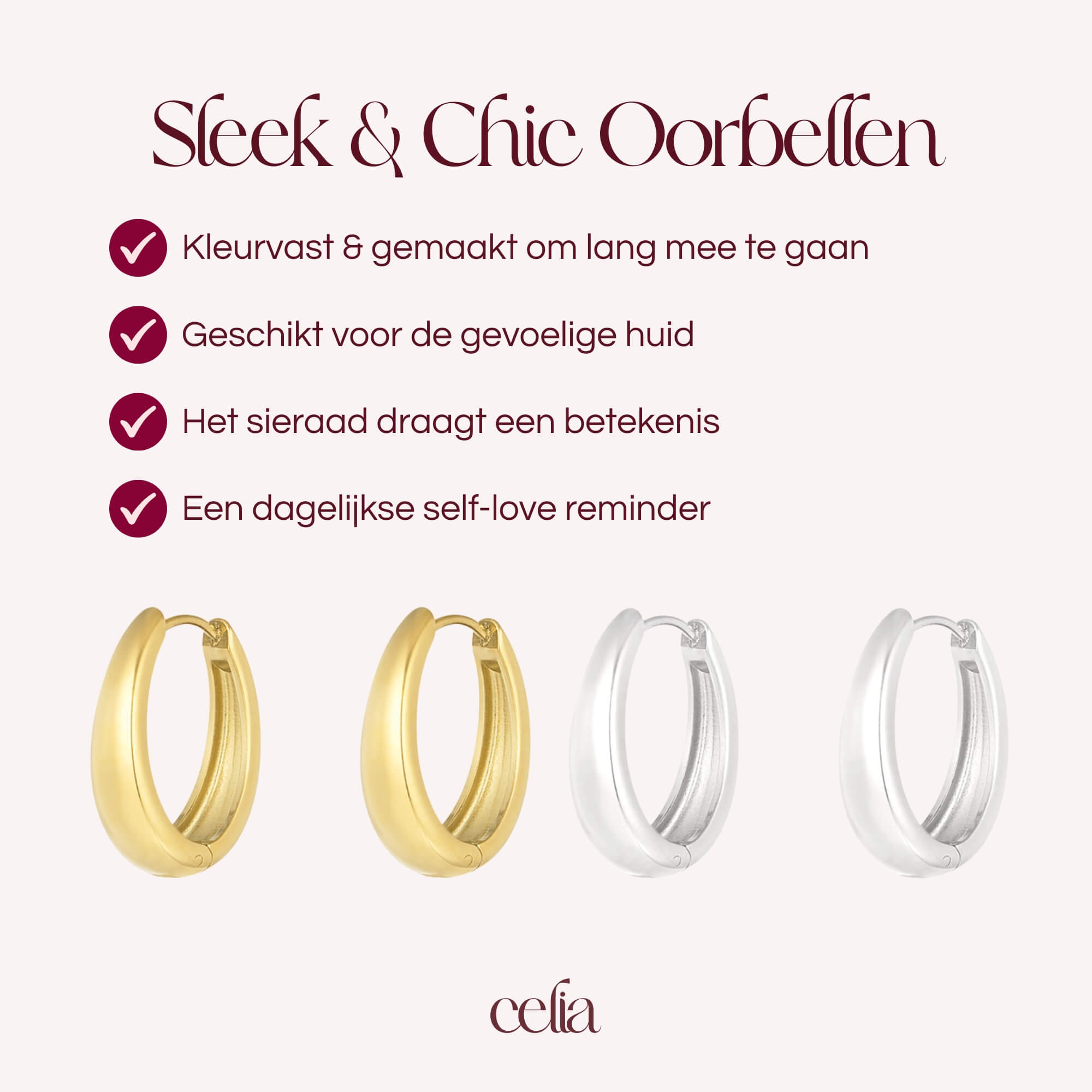 Sleek & Chic Oorbellen