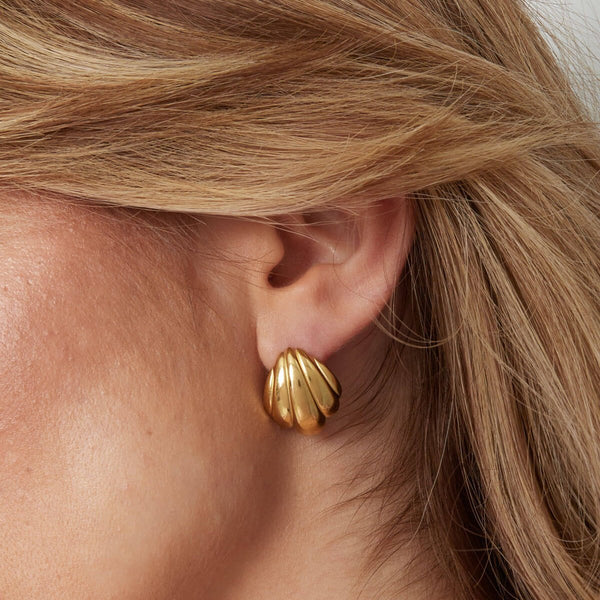 Limerencia Titanium Oorbellen voor Dames, G23 Medische Hypoallergene