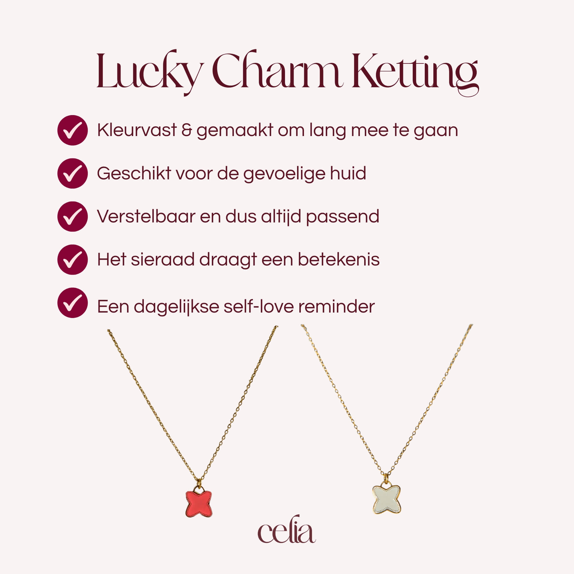 Lucky Charm Ketting