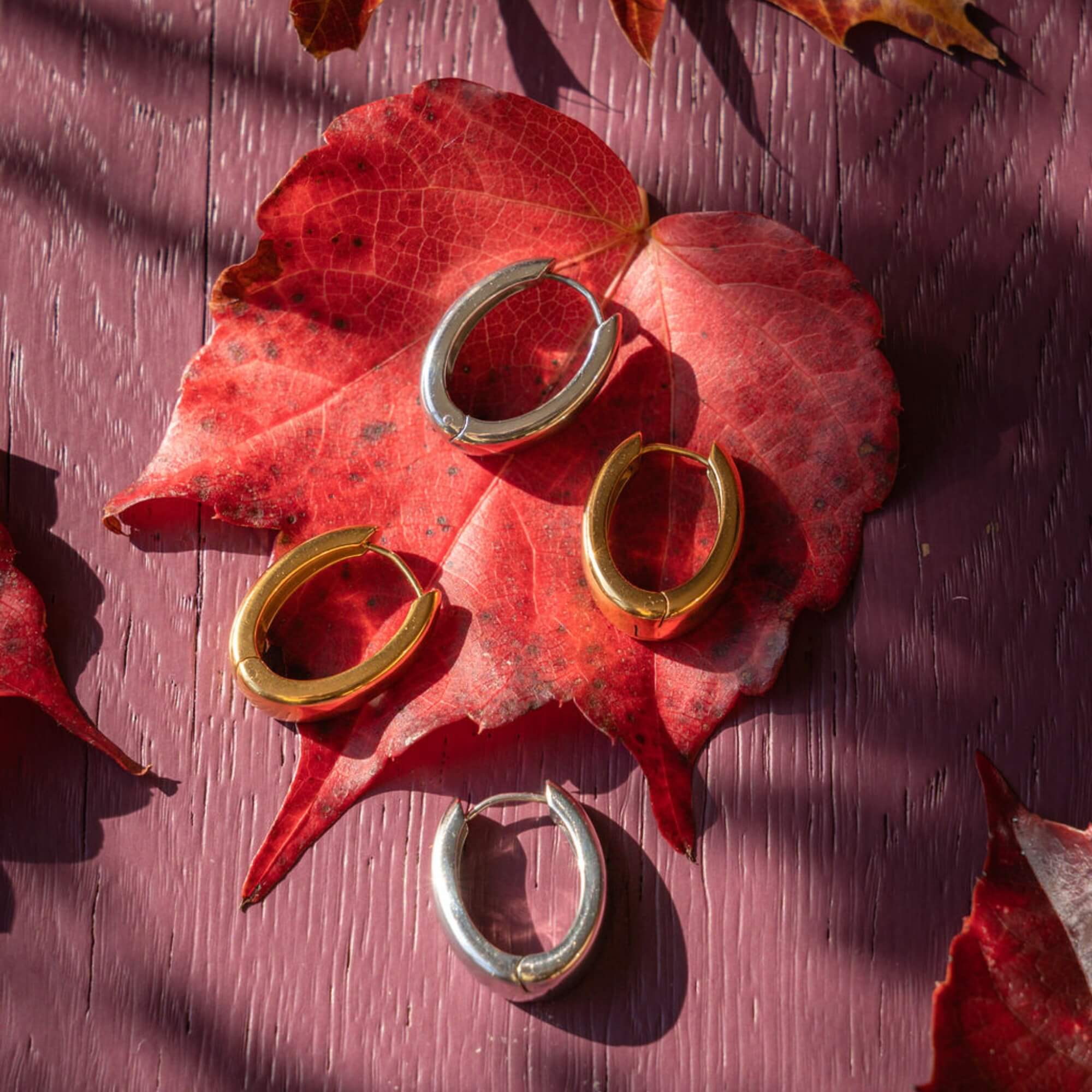 Sleek & Chic Oorbellen